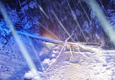 Wintereinbruch 20.02.2026